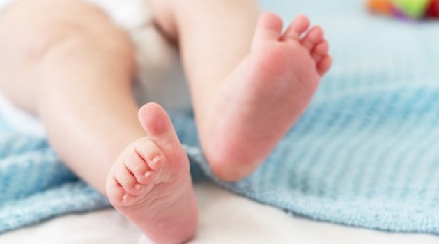 Dead Baby Autopsy Revealed Dunedin Father and Daughter Had Second Child Together