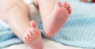 Dead Baby Autopsy Revealed Dunedin Father and Daughter Had Second Child Together
