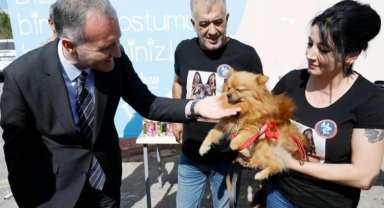 Bursa İnegöl 6 ayda 3 bine yakın hayvana şifa oldu