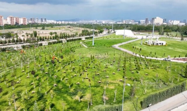 Dev park gün sayıyor