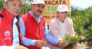 İzmir'de Akdeniz Meyve Sineği ile mücadele... 5 bin tuzak dağıtılıyor