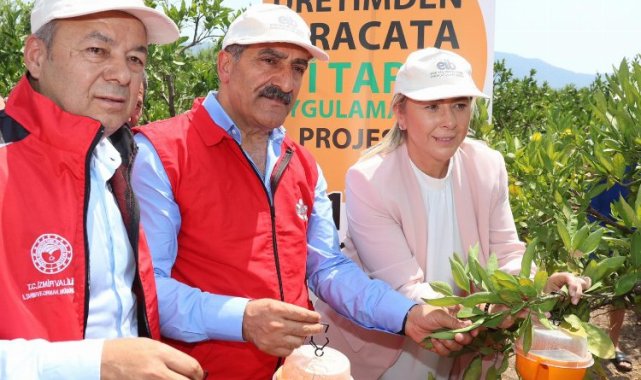 İzmir'de Akdeniz Meyve Sineği ile mücadele... 5 bin tuzak dağıtılıyor