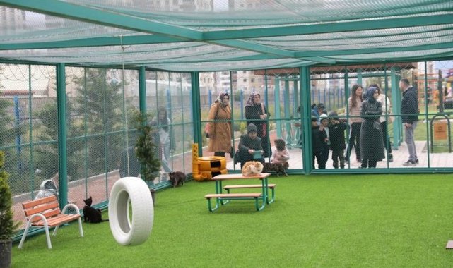 Kocasinan'ın 'Kedi Kasabası'na yabancı ilgisi