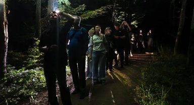 Ormanya'da macera dolu gece yürüyüşü... Yarasa dinletisi yapıldı