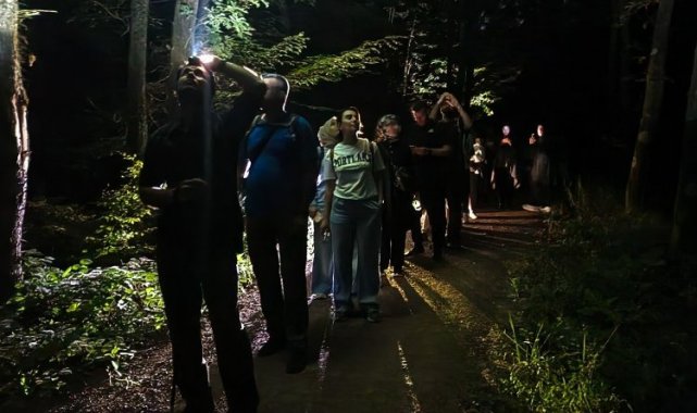 Ormanya'da macera dolu gece yürüyüşü... Yarasa dinletisi yapıldı