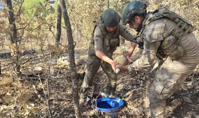 Şırnak'ta 5 terörist etkisiz