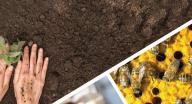 163 milyon TL'lik tarımsal destek ödeniyor