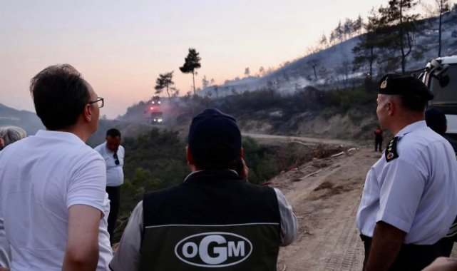 Bilecik Osmaneli'de orman yangını kontrol altında