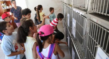 Bodrum'da öğrencilerden can dostlara ziyaret