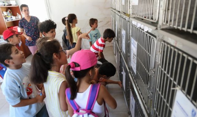 Bodrum'da öğrencilerden can dostlara ziyaret