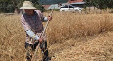 Bursa Keles'te ata topraklarına sahip çıkıyor
