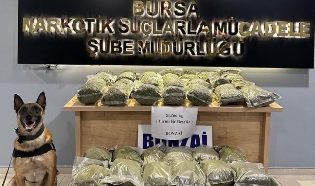 Bursa polisinden uyuşturucu ile mücadelede 188 gözaltı!