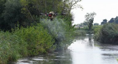 Bursa'da drone ile sinek avı