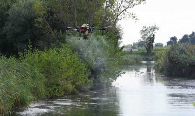 Bursa'da drone ile sinek avı
