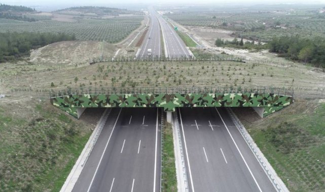 'Ekolojik Köprü'ler yaygınlaşıyor