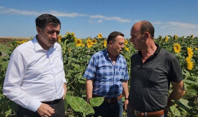 Gaytancıoğlu: Ayçiçeği taban fiyatı en az 20 TL olmalı