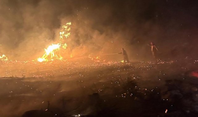 İzmir cayır cayır yandı! 6 ilçede ormanlar kül oldu