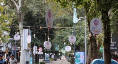 İzmit'te ağaçlar pişmaniye açtı