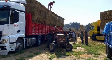 Kocaeli'den, Çanakkale'deki yangın mağduru çiftçilere destek