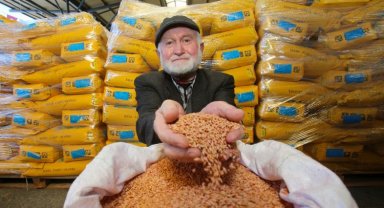 Kocaeli'den çiftçilere tohum desteği