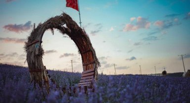 Lavanta ile beklenen buluşma: Üstelik ücretsiz