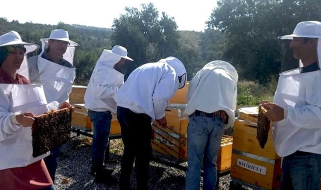 Manisa'da arıcılık eğitiminde yeni dönem