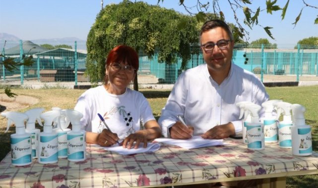 Manisa'da sokak hayvanları için yeni proje