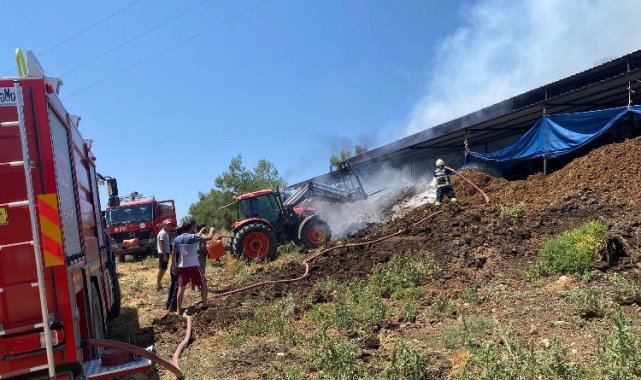 Muğla'da yangından etkilenen hayvanlara müdahale