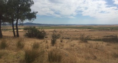 TEMA Edirne'den seslendi: Tarım toprakları korunmalı!