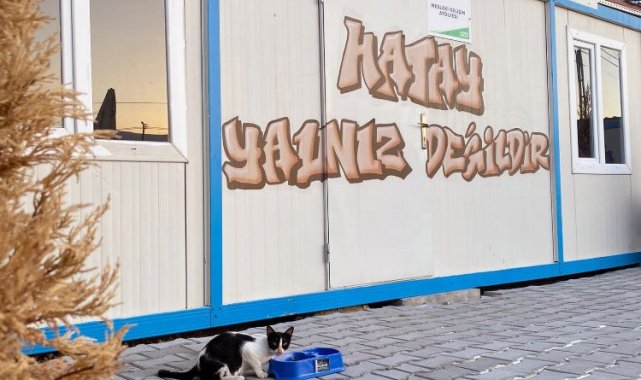 UEDAŞ, Hatay'da sokak hayvanlarını unutmadı