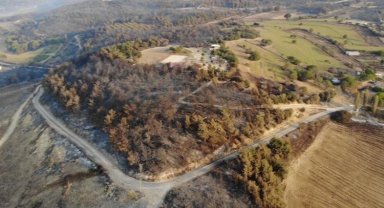 Yangınlar kontrol altına alındı