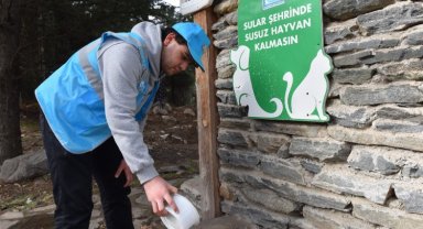 Yaz sıcaklarında sokak hayvanlarına da 'Yıldırım' takviye