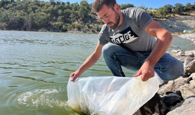 30 bin yavru sazan göletlere salındı