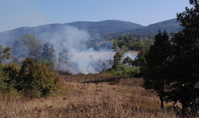 Alevler tabiat parkına ulaşmadan söndürüldü