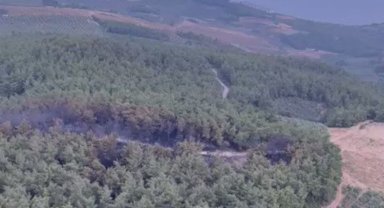 Bursa Mudanya'daki büyük orman yangını kontrol altına alındı