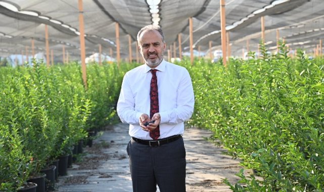 Bursa'nın yükselen değeri; tarım