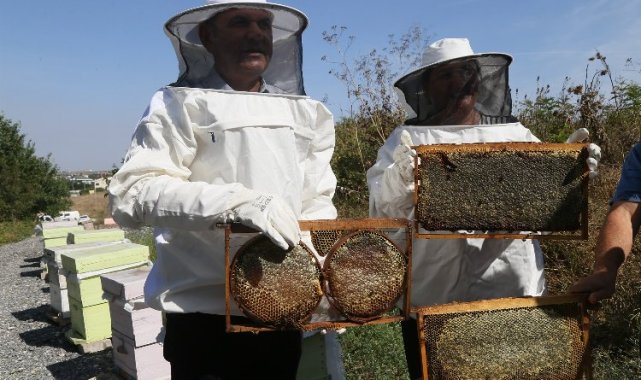 Büyükçekmece'de ilk bal hasadı gerçekleşti