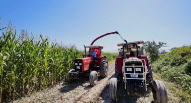 Çiftçilerin mısır sevinci