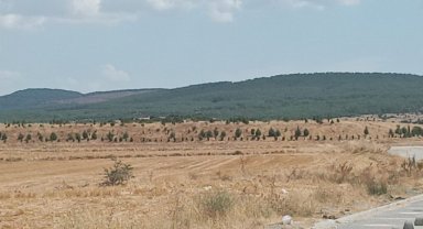 Keşan'da eski çöplükteki fidanlar boy veriyor