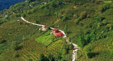 Kumru'da yolların konforu artıyor