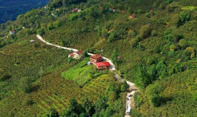 Kumru'da yolların konforu artıyor