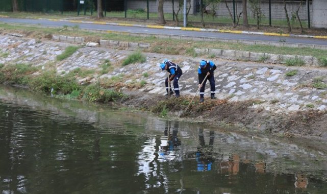 Sakarya Çark Deresi'nde rutin temizlik