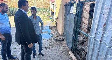Sivas Hayvan Barınağı Meclis'e taşınacak