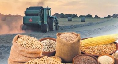 Tarım-ÜFE verileri açıklandı
