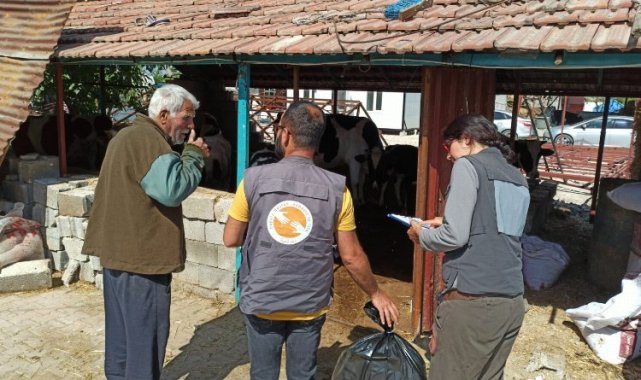 Afet bölgesinde yem ihtiyacı artıyor