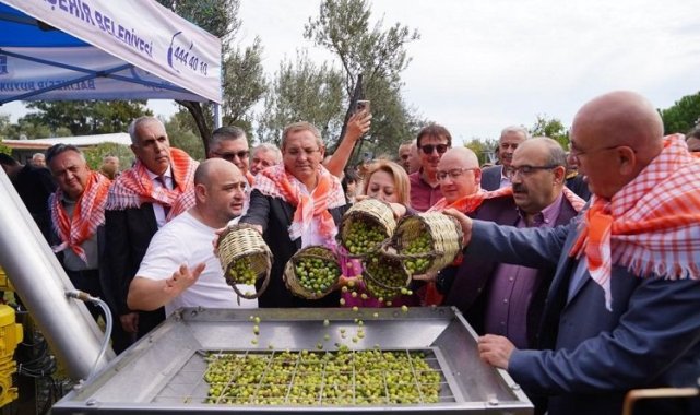 Ayvalık'ta Hasat Festivali'nde zeytinyağı sıkım keyfi