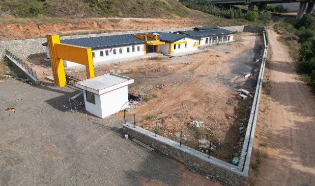 Çayırova'da sokak hayvanları için rehabilitasyon merkezi gün sayıyor