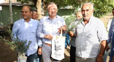 Hatay'da 50 bin çiftçiye meyve fidesi