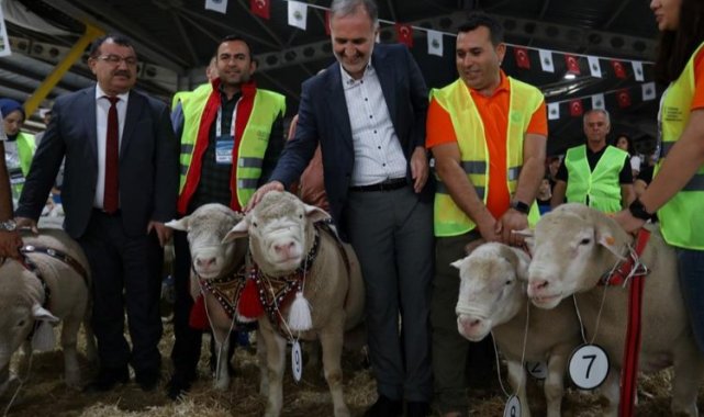 İnegöl'de Koç ve Süs Tavukları podyumda