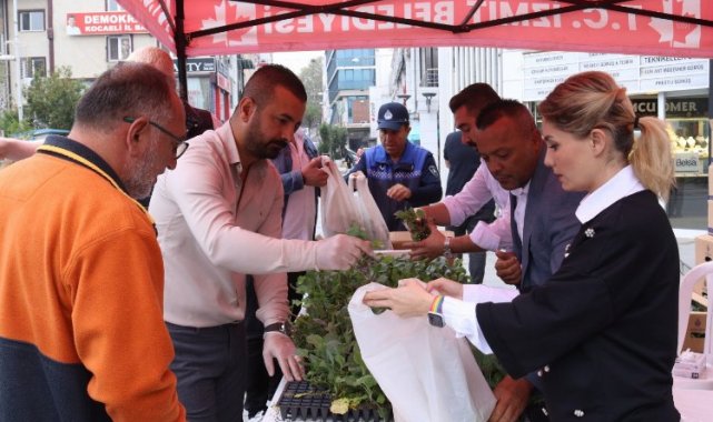 İzmit, hibe karalahana fidelerini üreticilerle buluşturdu